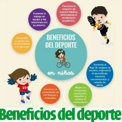 Beneficios de la Actividad Física y el Deporte en la calidad de vida