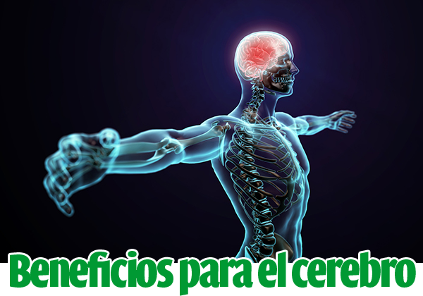 beneficios-deporte-cerebro