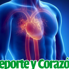 Deporte y Corazón: Deporte como mejora de la frecuencia cardiaca