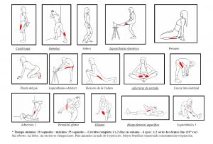 estiramientos-piernas