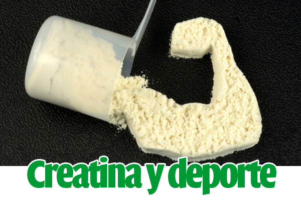 creatina-deporte